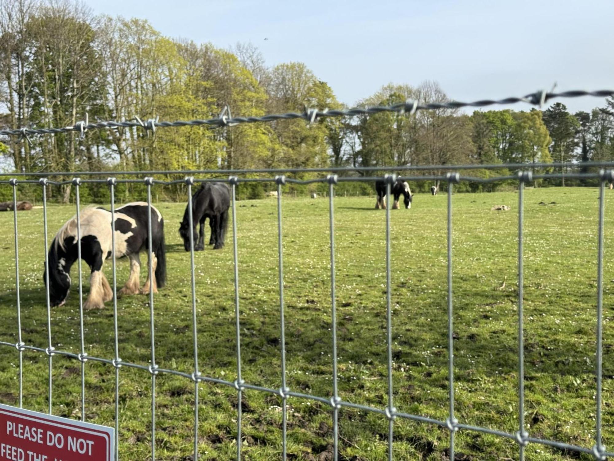 Pony Gate Caravan On Haggerstone Castle West Lawn Apartment Berwick Upon Tweed