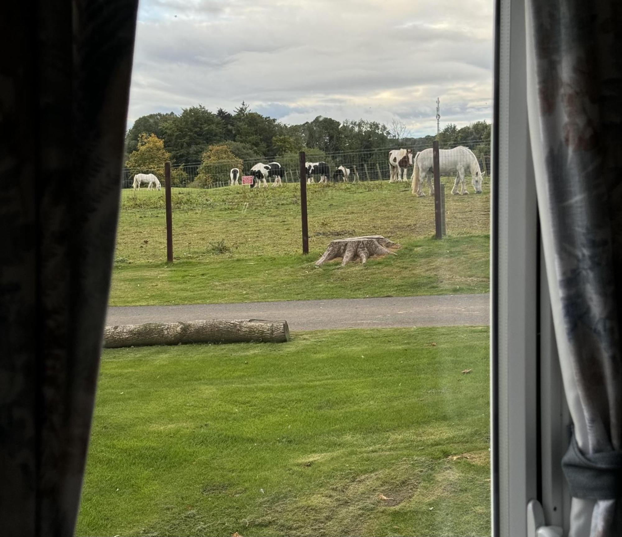 Apartment Pony Gate Caravan On Haggerstone Castle West Lawn